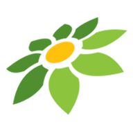 JENNY MOD APK